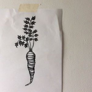 ink drawing of a carrot by Anja Dunk